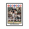 Joe Borowski 2008 Topps #554 Baseball Cards Baseball Card NM