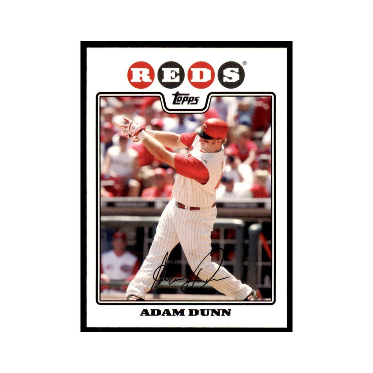 Adam Dunn 2008 Topps #370 Baseball Cards Baseball Card NM