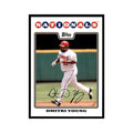 Dmitri Young 2008 Topps #252 Baseball Cards Baseball Card NM