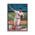 Adam Wainwright 2018 Topps #81 St. Louis Cardinals Baseball Card NM