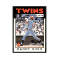 Randy Bush 1986 O-Pee-Chee #214 Minnesota Twins Baseball Card NM