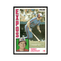 Terry Crowley 1984 O-Pee-Chee #246 Montreal Expos Baseball Card EX
