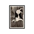 Alsatian 1939 Senior Service Dogs #29 Tobacco Card VG