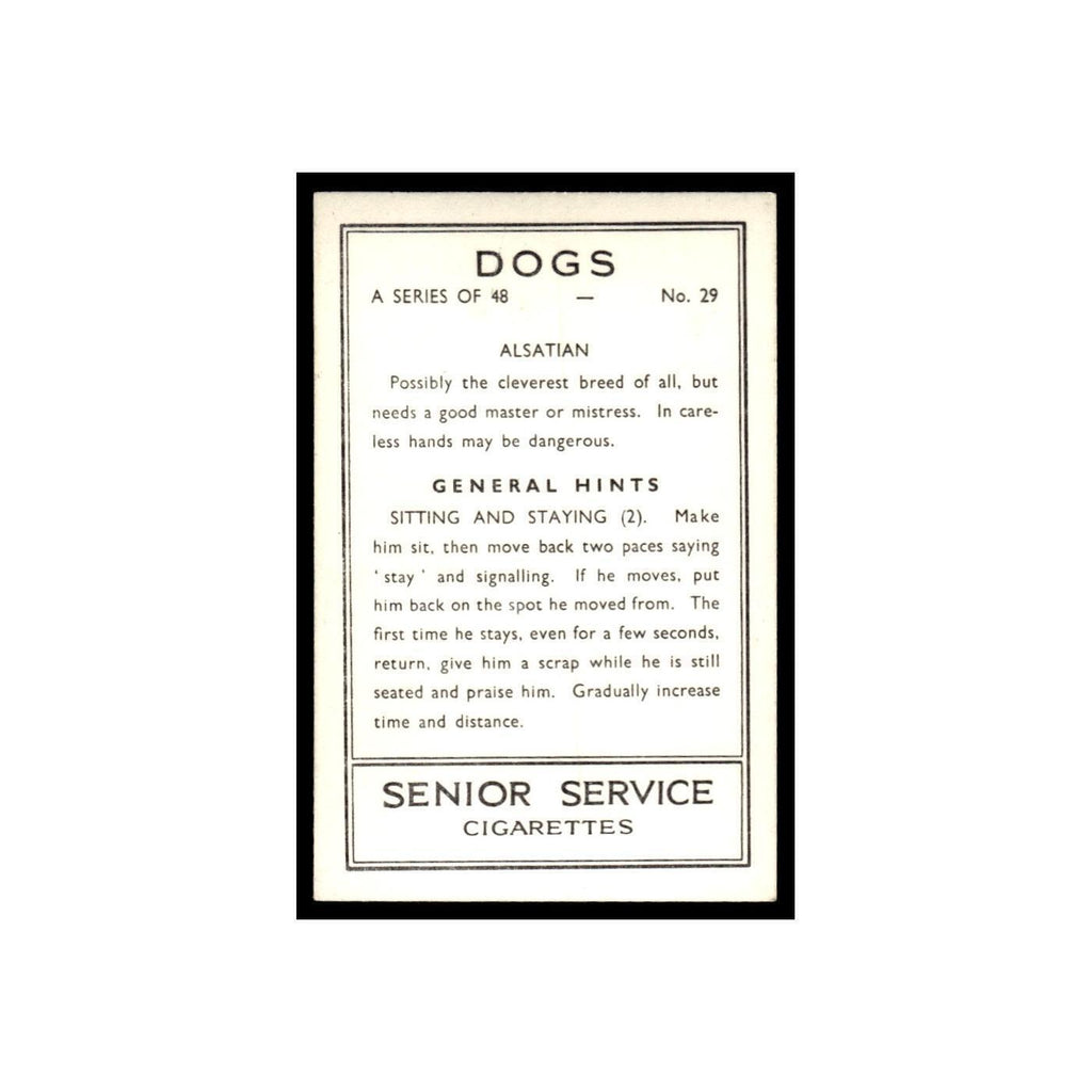 Alsatian 1939 Senior Service Dogs #29 Tobacco Card VG
