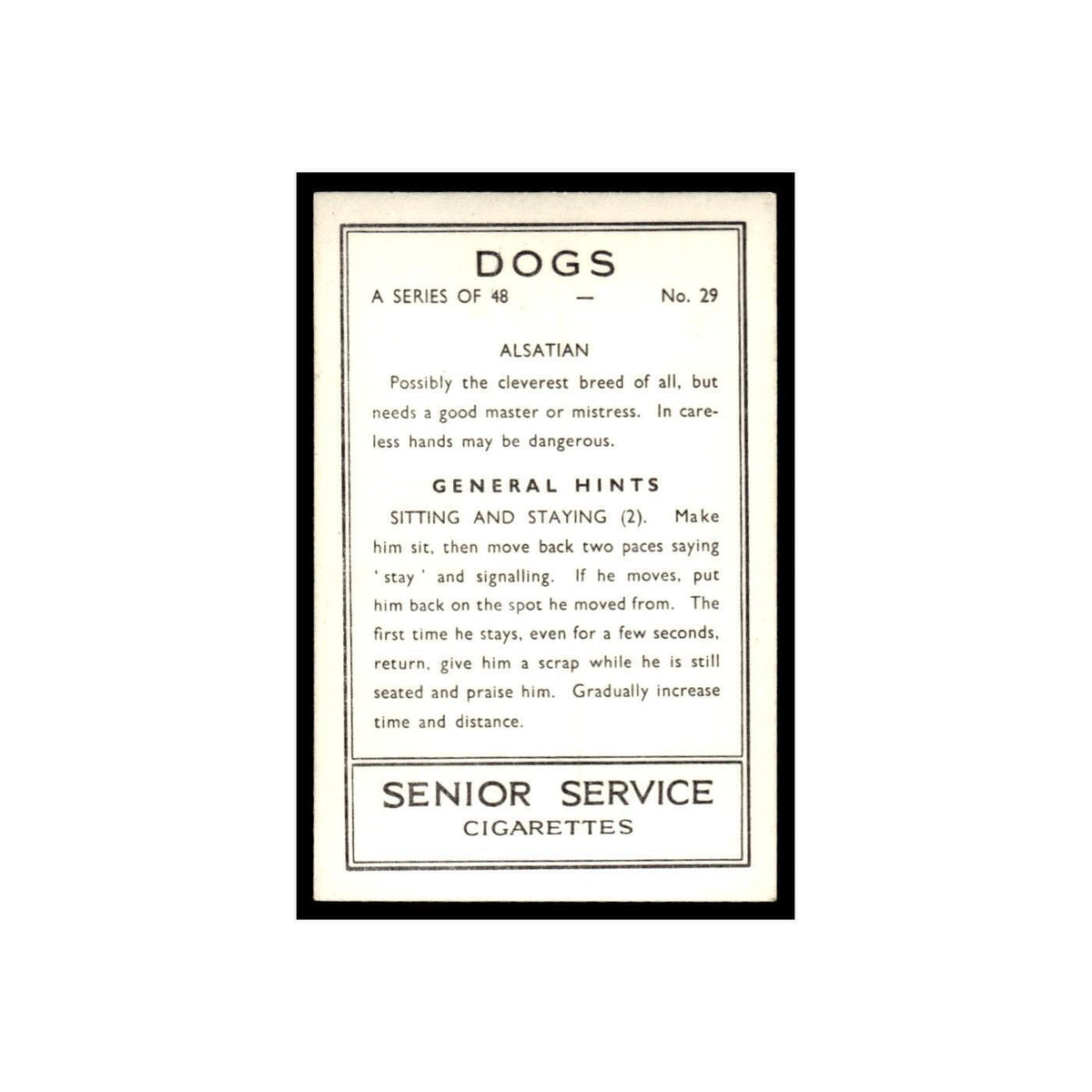 Alsatian 1939 Senior Service Dogs #29 Tobacco Card VG