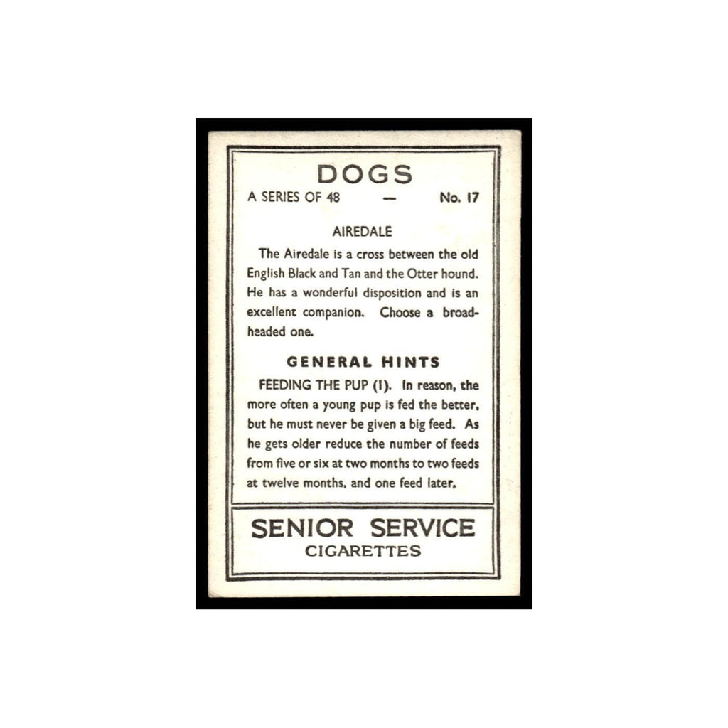 Airedale 1939 Senior Service Dogs #17 Tobacco Card VG