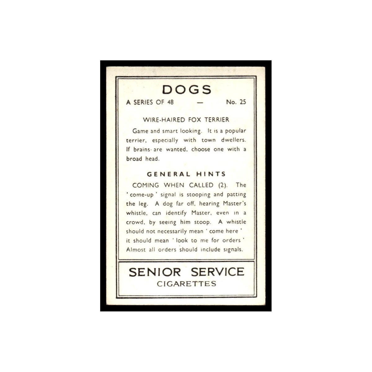 Wire Haired Fox Terrier 1939 Senior Service Dogs #25 Tobacco Card VG