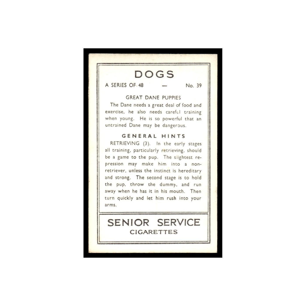 Great Dane Puppies 1939 Senior Service Dogs #39 Tobacco Card VG