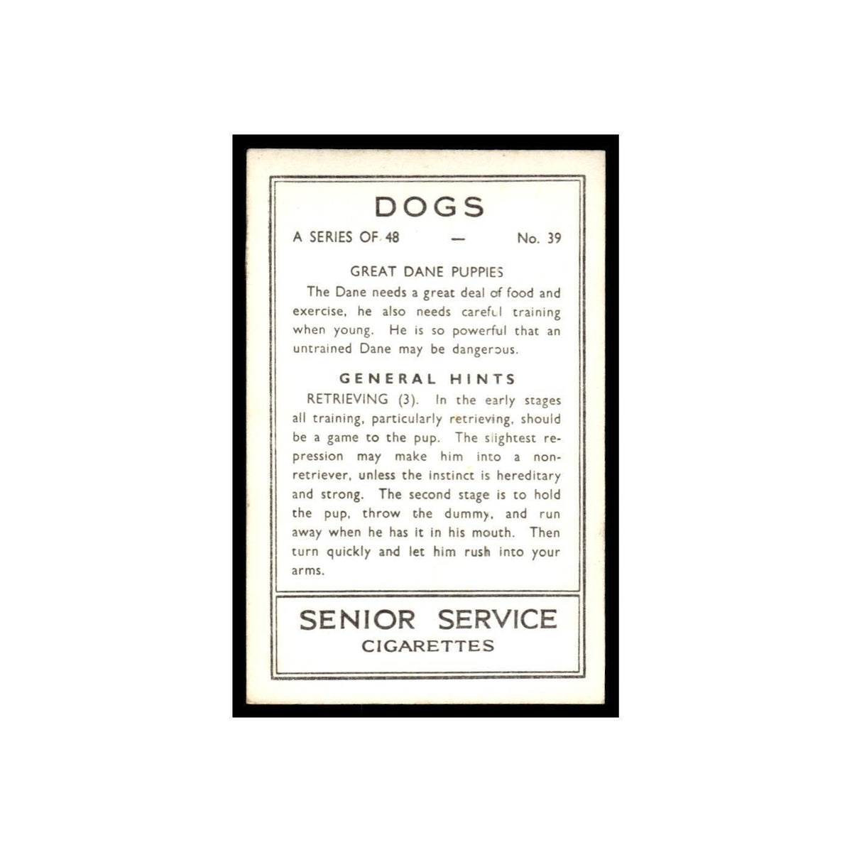 Great Dane Puppies 1939 Senior Service Dogs #39 Tobacco Card VG