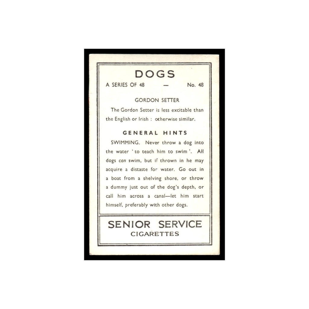 Gordon Setter 1939 Senior Service Dogs #48 Tobacco Card VG