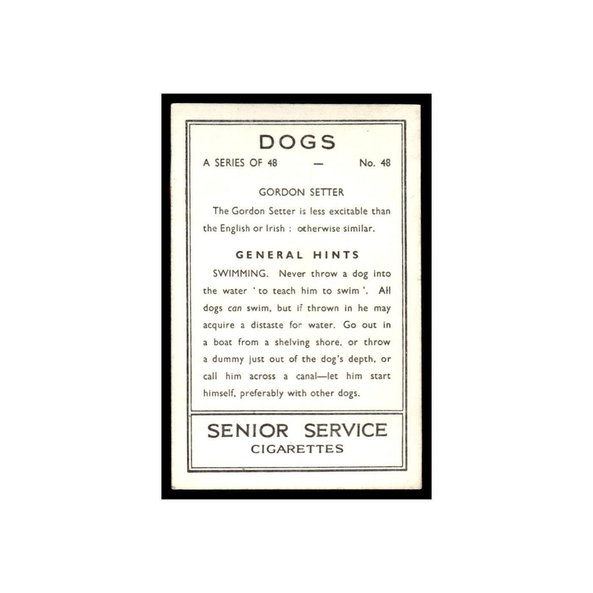 Gordon Setter 1939 Senior Service Dogs #48 Tobacco Card VG
