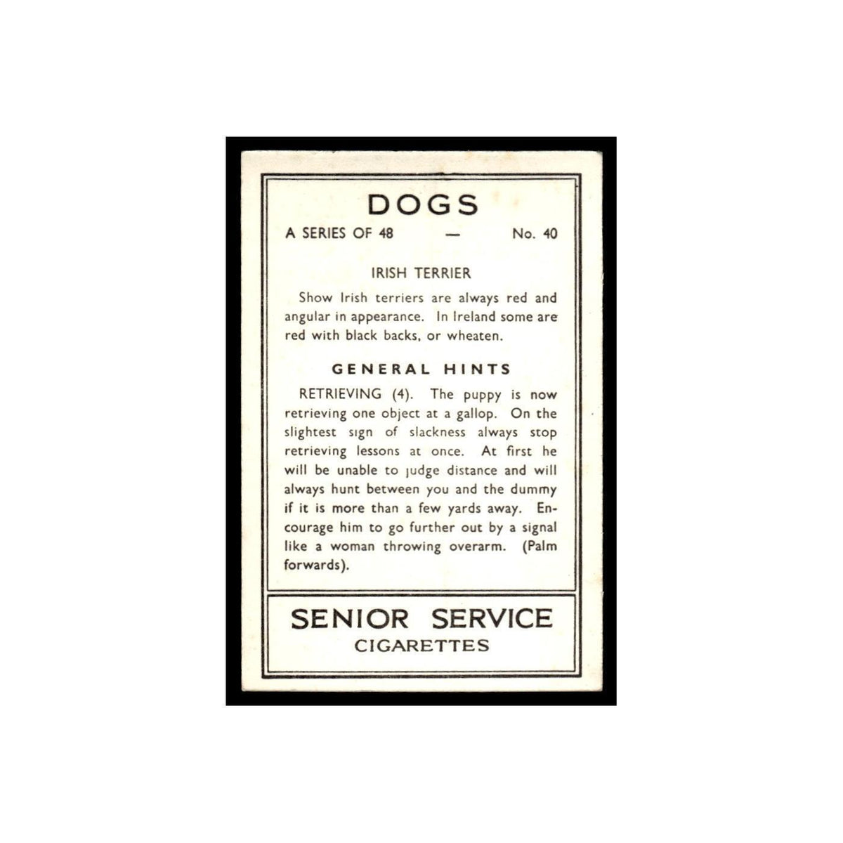 Irish Terrier 1939 Senior Service Dogs #40 Tobacco Card VG