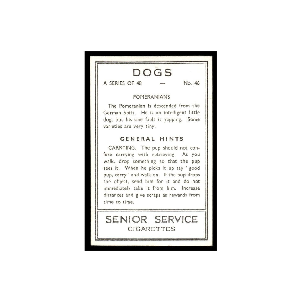 Pomeranians 1939 Senior Service Dogs #46 Tobacco Card VG