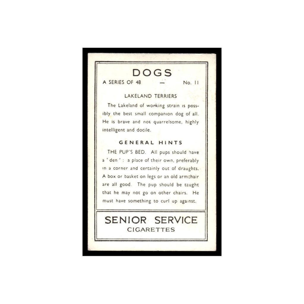 Lakeland Terriers 1939 Senior Service Dogs #11 Tobacco Card VG