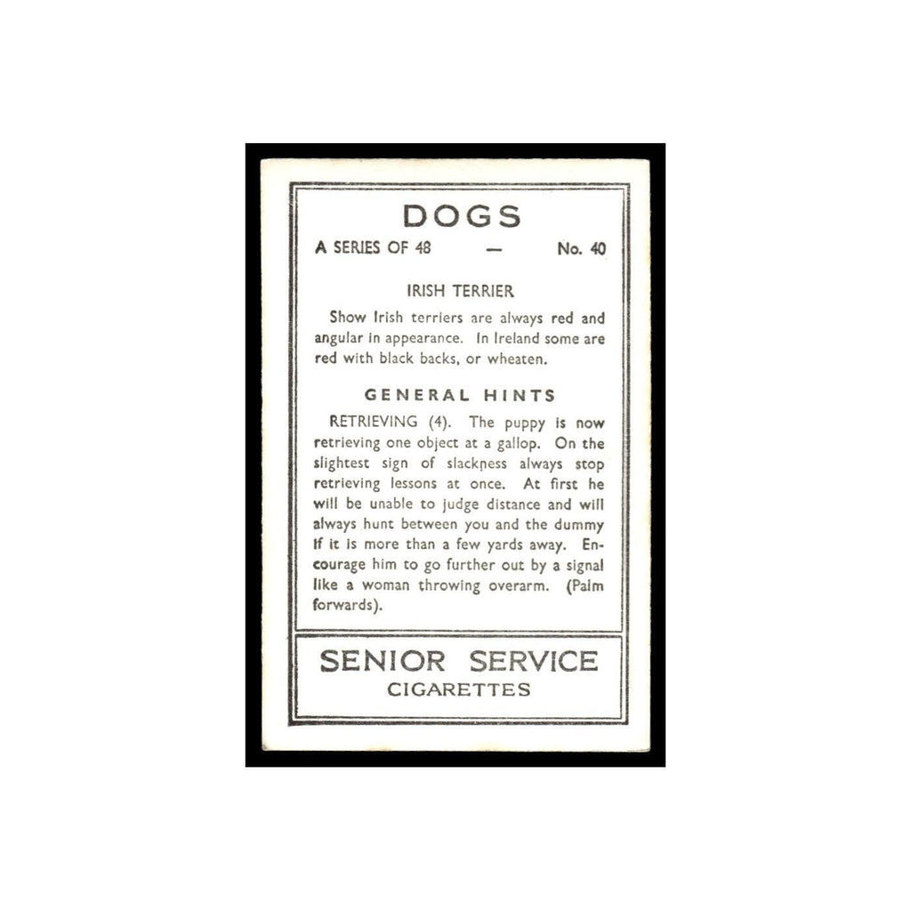 Irish Terrier 1939 Senior Service Dogs #40 Tobacco Card VG
