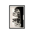 Pomeranians 1939 Senior Service Dogs #46  Tobacco Card VG