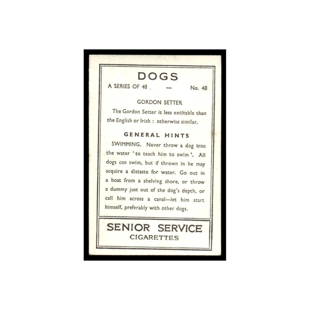 Gordon Setter 1939 Senior Service Dogs #48 Tobacco Card VG