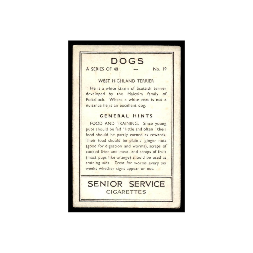 West Highland Terrier 1939 Senior Service Dogs #19 Tobacco Card Poor