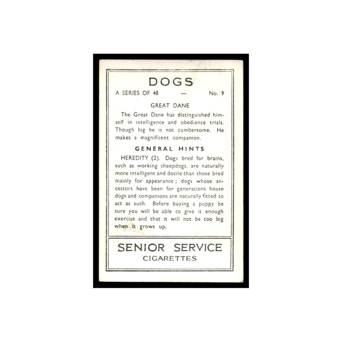 Great Dane 1939 Senior Service Dogs #9 Tobacco Card VG
