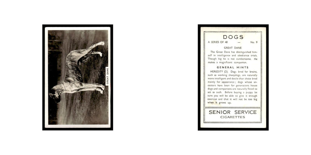 Great Dane 1939 Senior Service Dogs #9 Tobacco Card VG