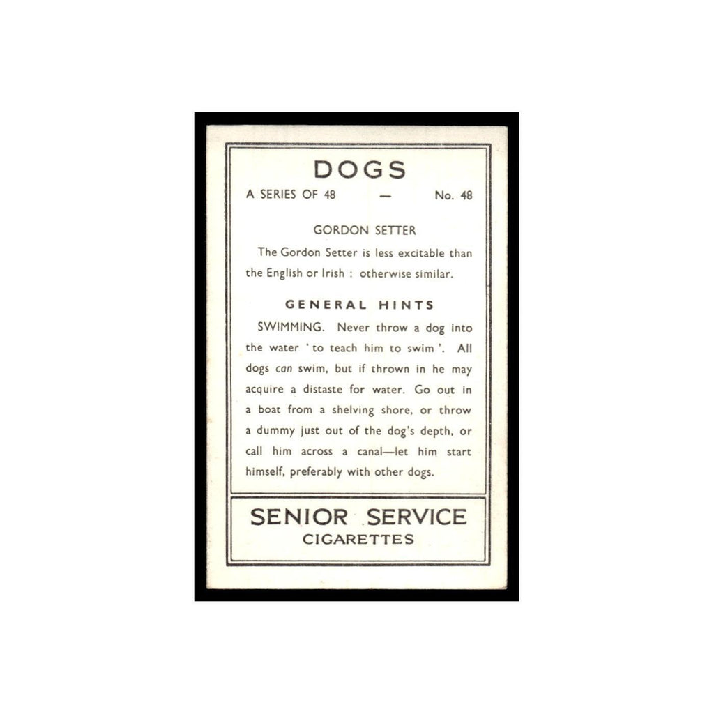 Gordon Setter 1939 Senior Service Dogs #48 Tobacco Card VG