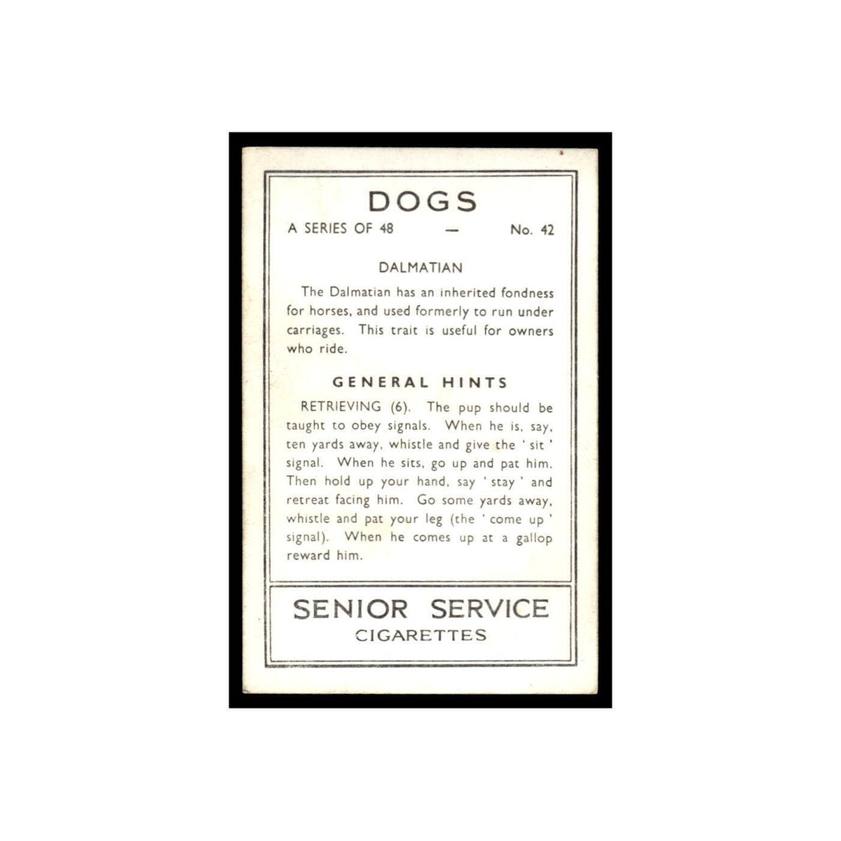 Dalmatian 1939 Senior Service Dogs #42 Tobacco Card Poor