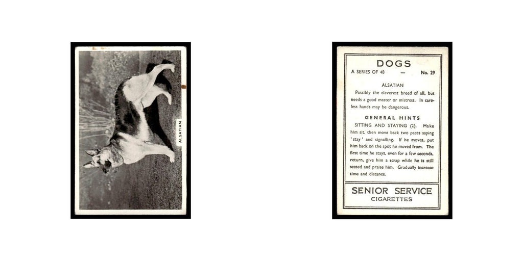 Alstatian 1939 Senior Service Dogs #29 Tobacco Card VG