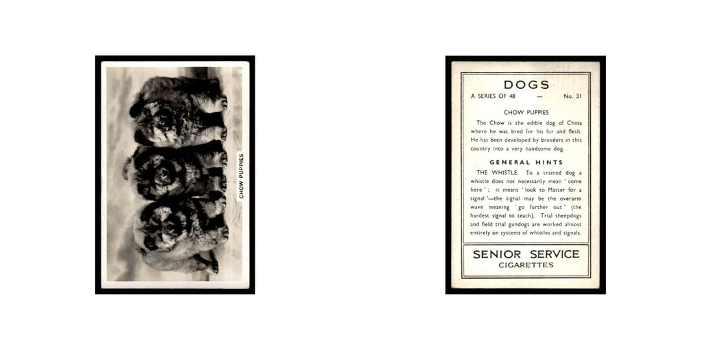 Chow Puppies 1939 Senior Service Dogs #31 Tobacco Card VG