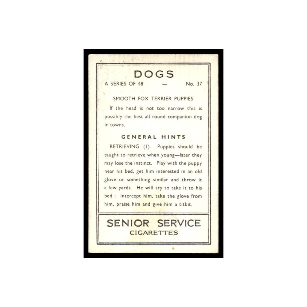 Smooth Fox Terrier Puppies 1939 Senior Service Dogs #37 Tobacco Card VG