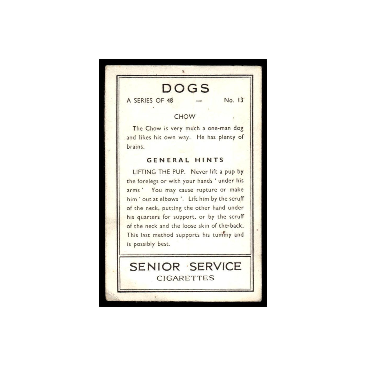 Chow 1939 Senior Service Dogs #13 Tobacco Card VG