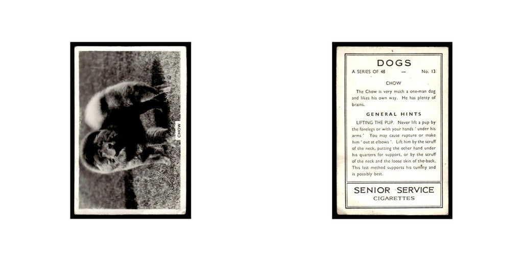 Chow 1939 Senior Service Dogs #13 Tobacco Card VG