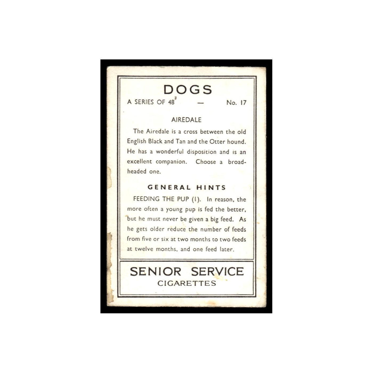 Airedale 1939 Senior Service Dogs #17 Tobacco Card VG