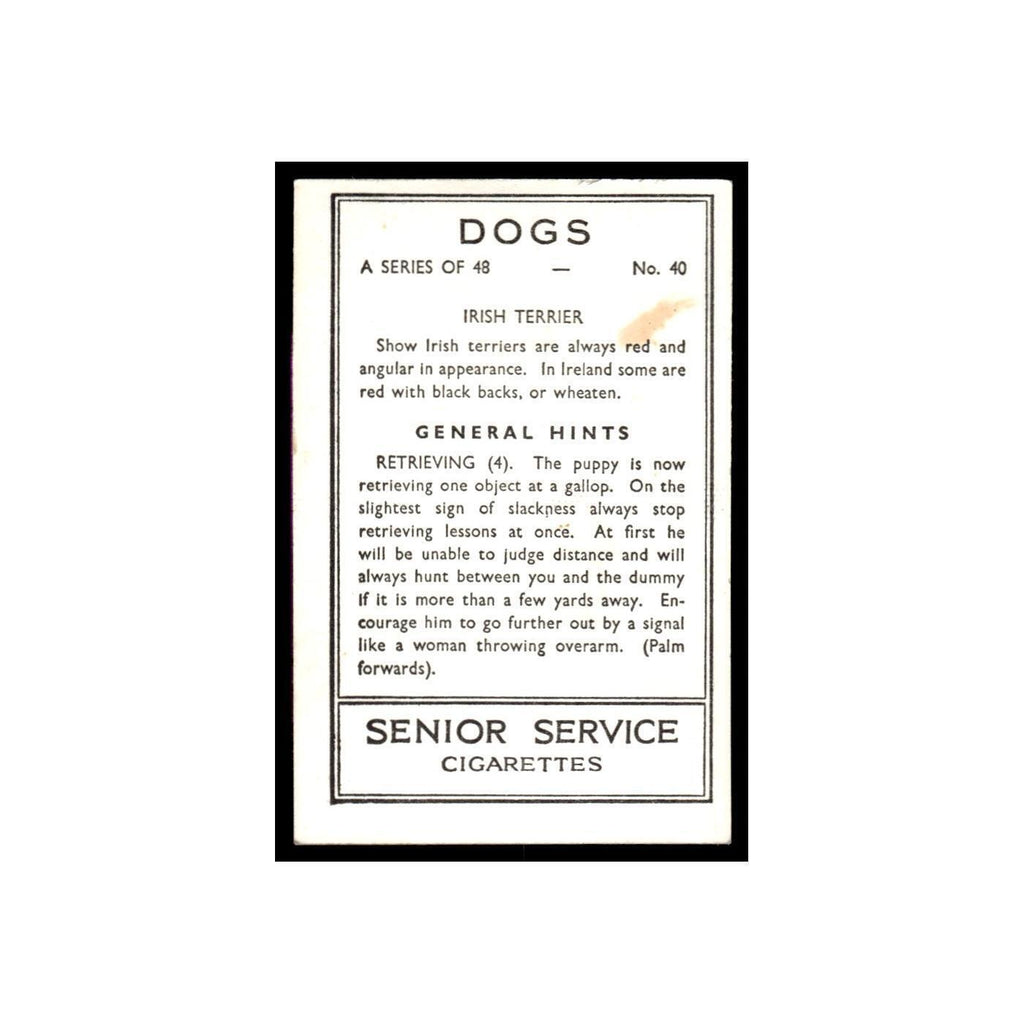 Irish Terrier 1939 Senior Service Dogs #40 Tobacco Card VG