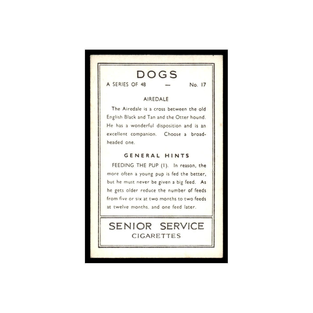 Airedale 1939 Senior Service Dogs #17 Tobacco Card VG