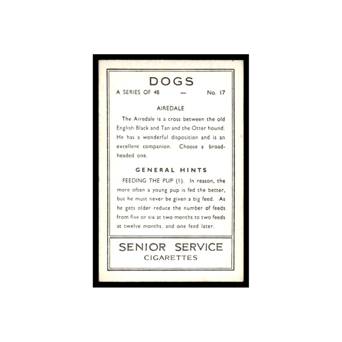 Airedale 1939 Senior Service Dogs #17 Tobacco Card VG