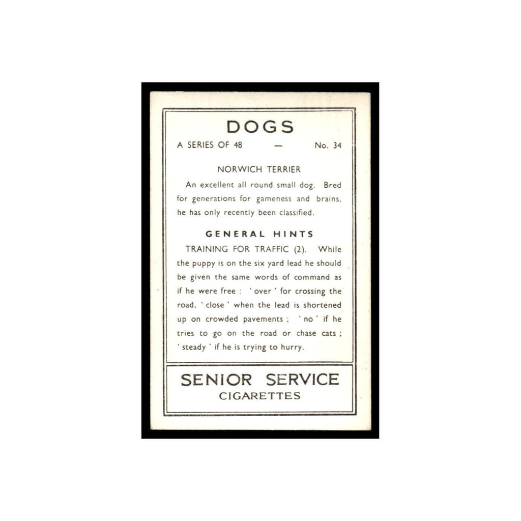 Norwich Terrier 1939 Senior Service Dogs #34 Tobacco Card VG