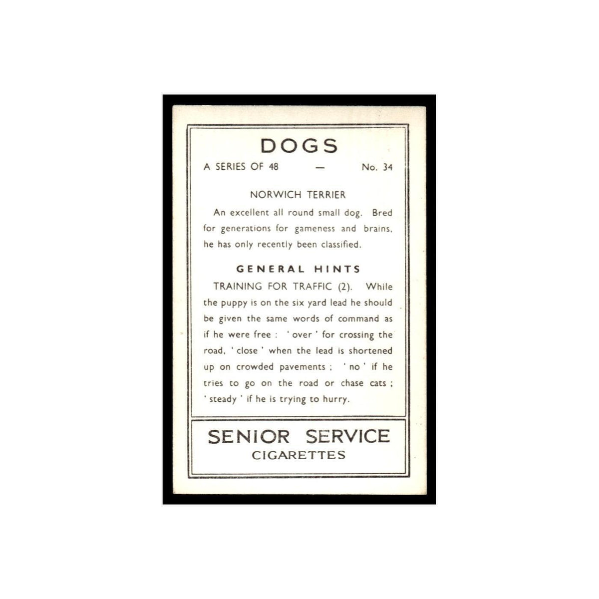 Norwich Terrier 1939 Senior Service Dogs #34 Tobacco Card VG