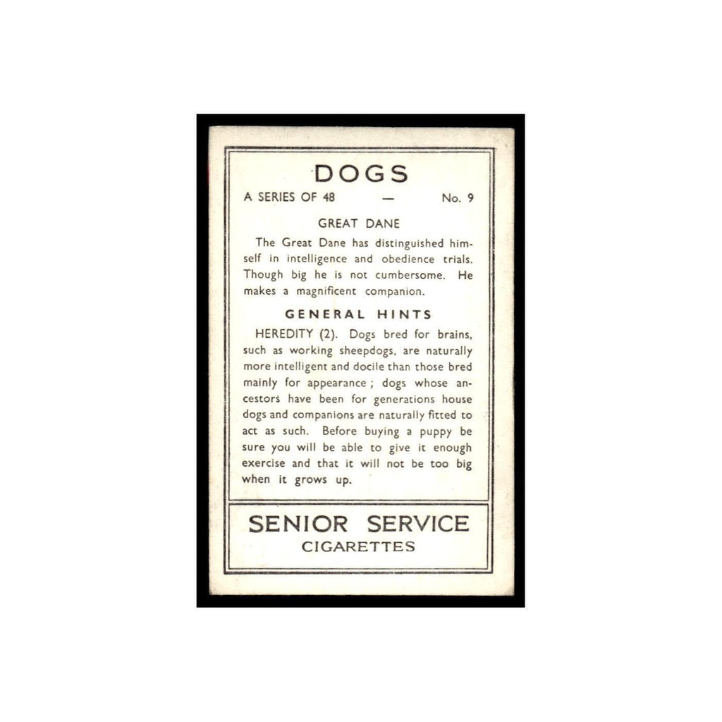 Great Dane 1939 Senior Service Dogs #9 Tobacco Card VG