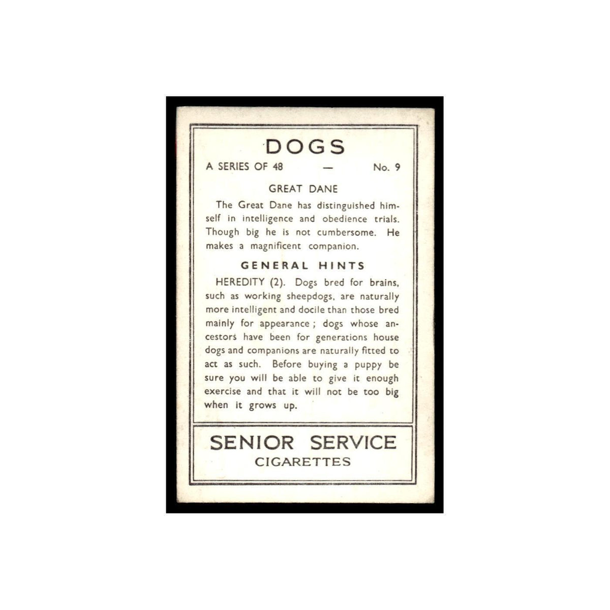 Great Dane 1939 Senior Service Dogs #9 Tobacco Card VG
