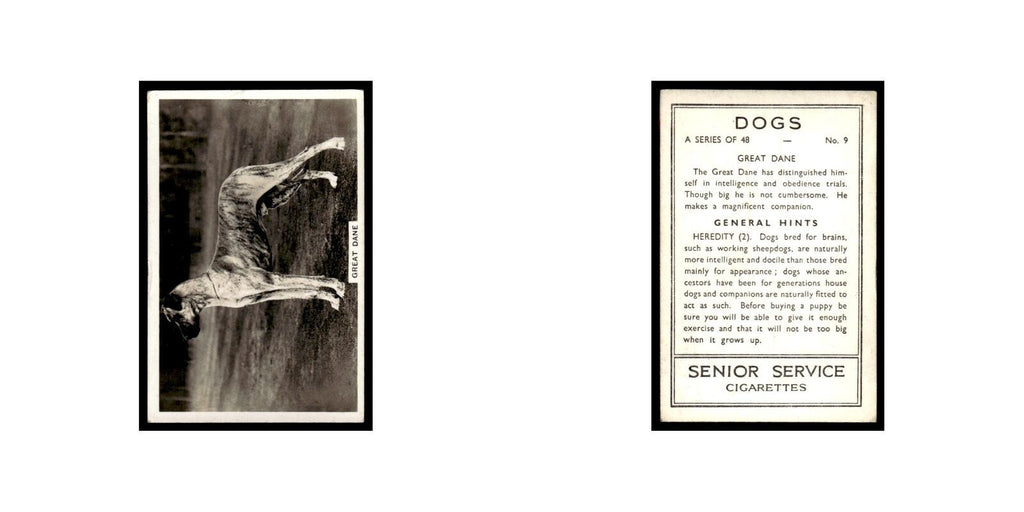 Great Dane 1939 Senior Service Dogs #9 Tobacco Card VG