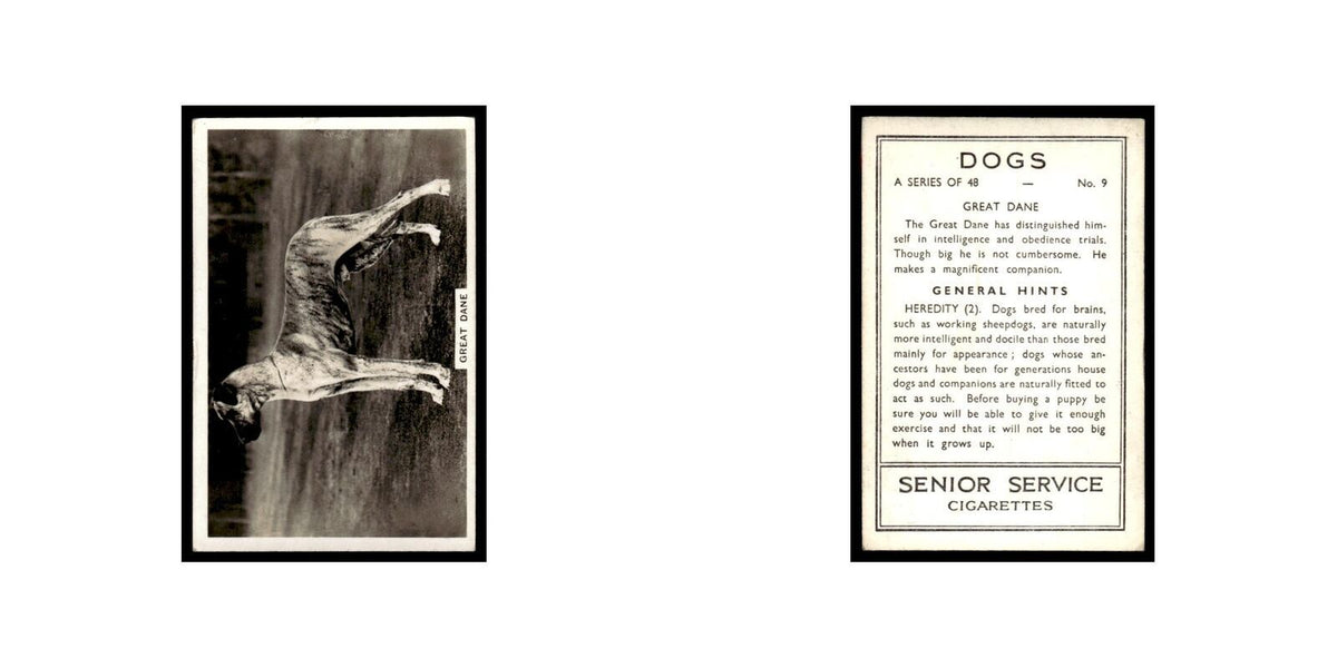 Great Dane 1939 Senior Service Dogs #9 Tobacco Card VG