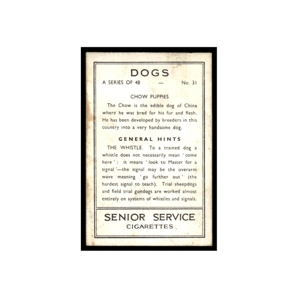Chow Puppies 1939 Senior Service Dogs #31 Tobacco Card VG