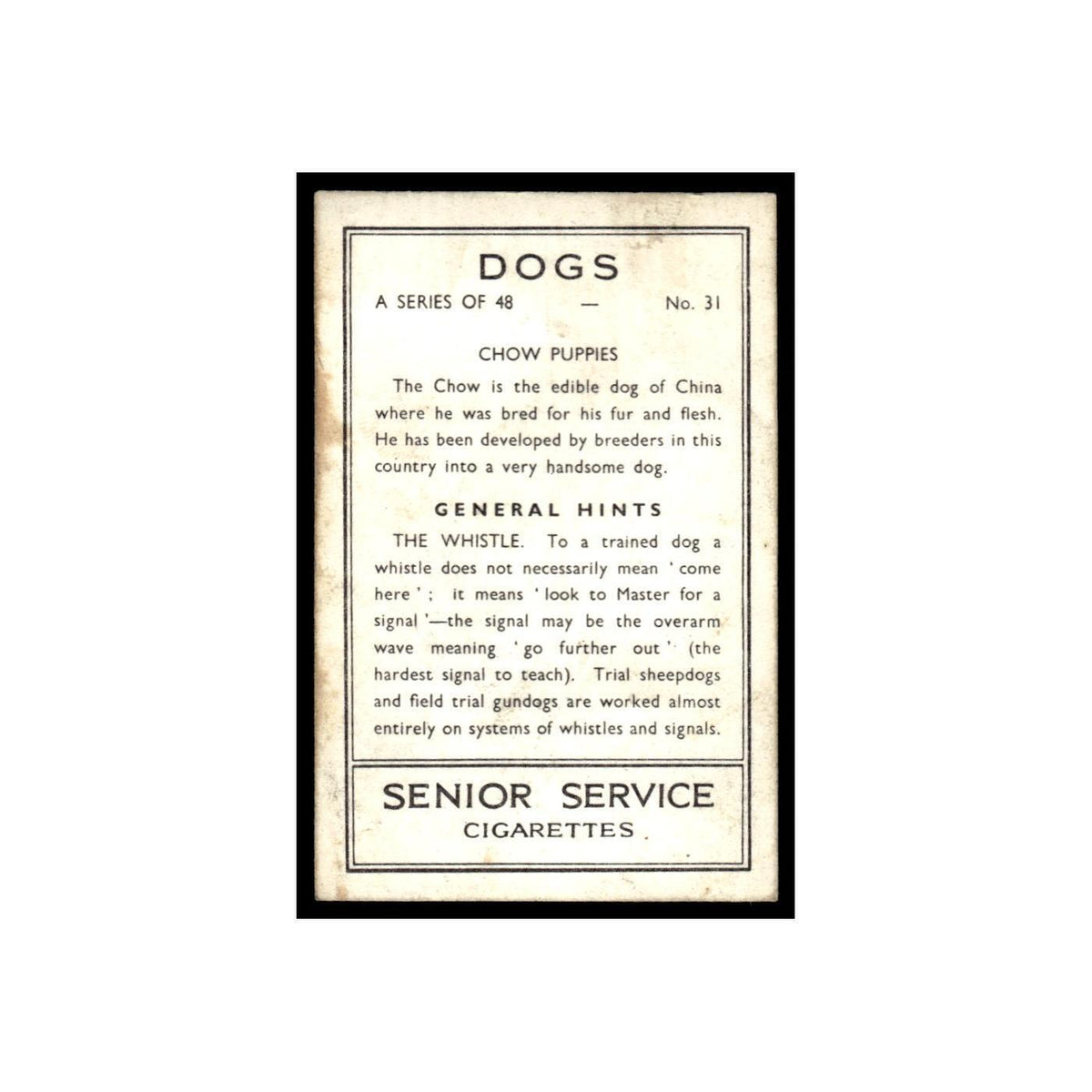 Chow Puppies 1939 Senior Service Dogs #31 Tobacco Card VG