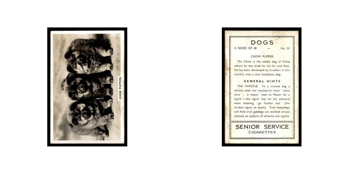 Chow Puppies 1939 Senior Service Dogs #31 Tobacco Card VG