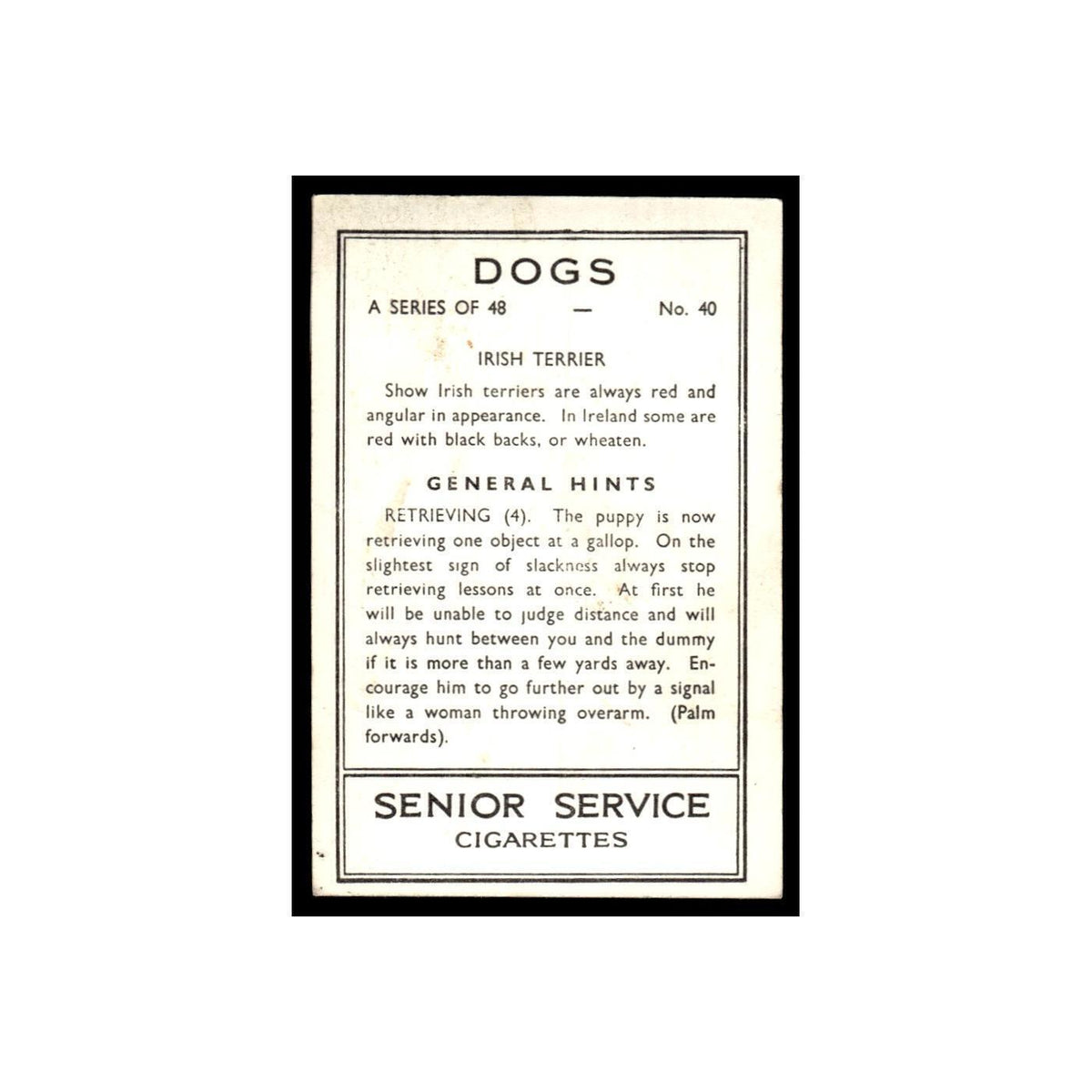 Irish Terrier 1939 Senior Service Dogs #40 Tobacco Card VG