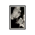 Pekingese 1939 Senior Service Dogs #12 Tobacco Card VG