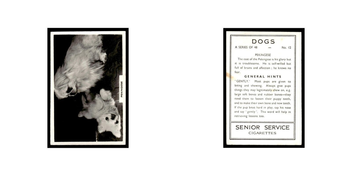 Pekingese 1939 Senior Service Dogs #12 Tobacco Card VG