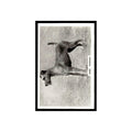 Irish Terrier 1939 Senior Service Dogs #40 Tobacco Card VG
