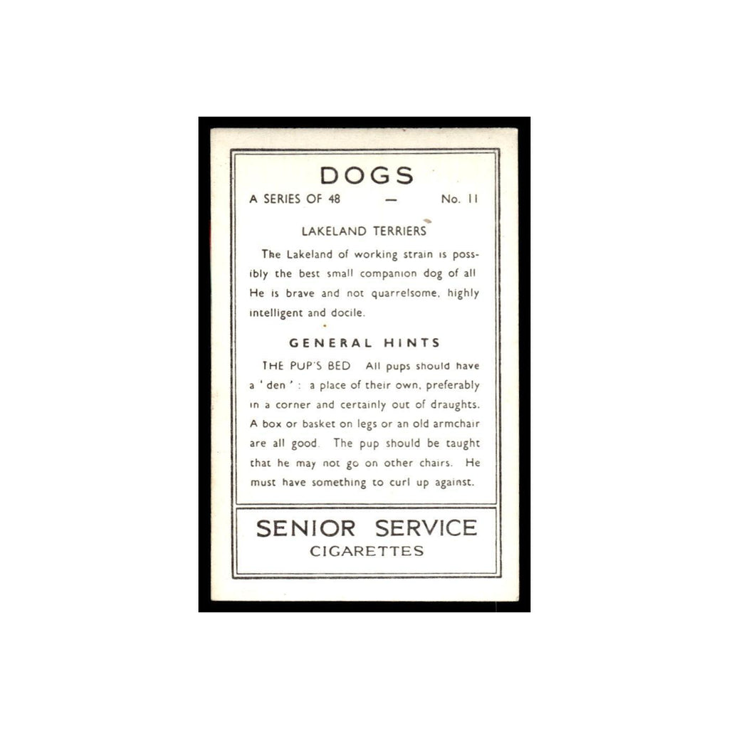 Lakeland Terriers 1939 Senior Service Dogs #11 Tobacco Card VG