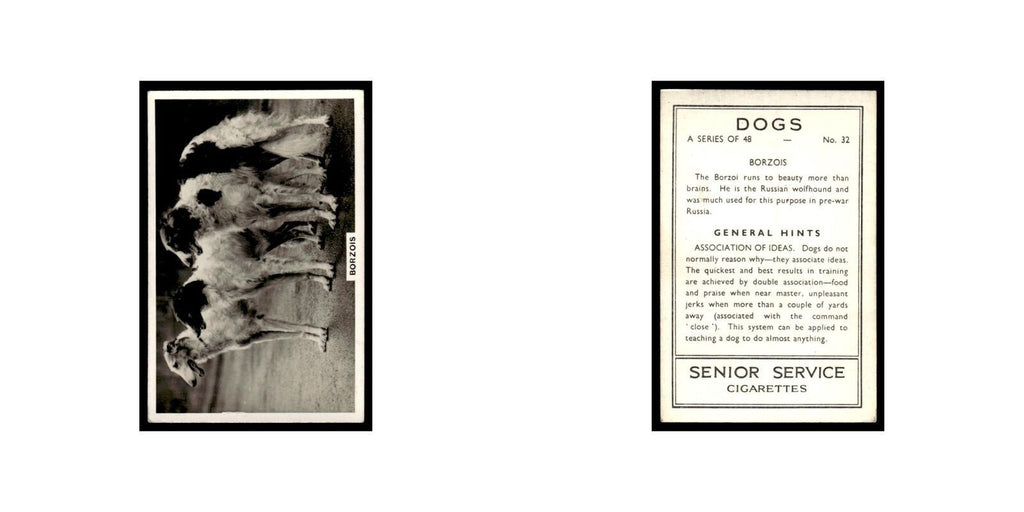 Borzois 1939 Senior Service Dogs #32 Tobacco Card VG